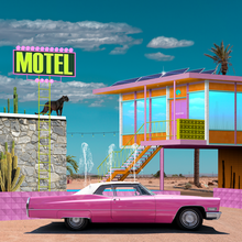 Load image into Gallery viewer, NO RESERVATIONS